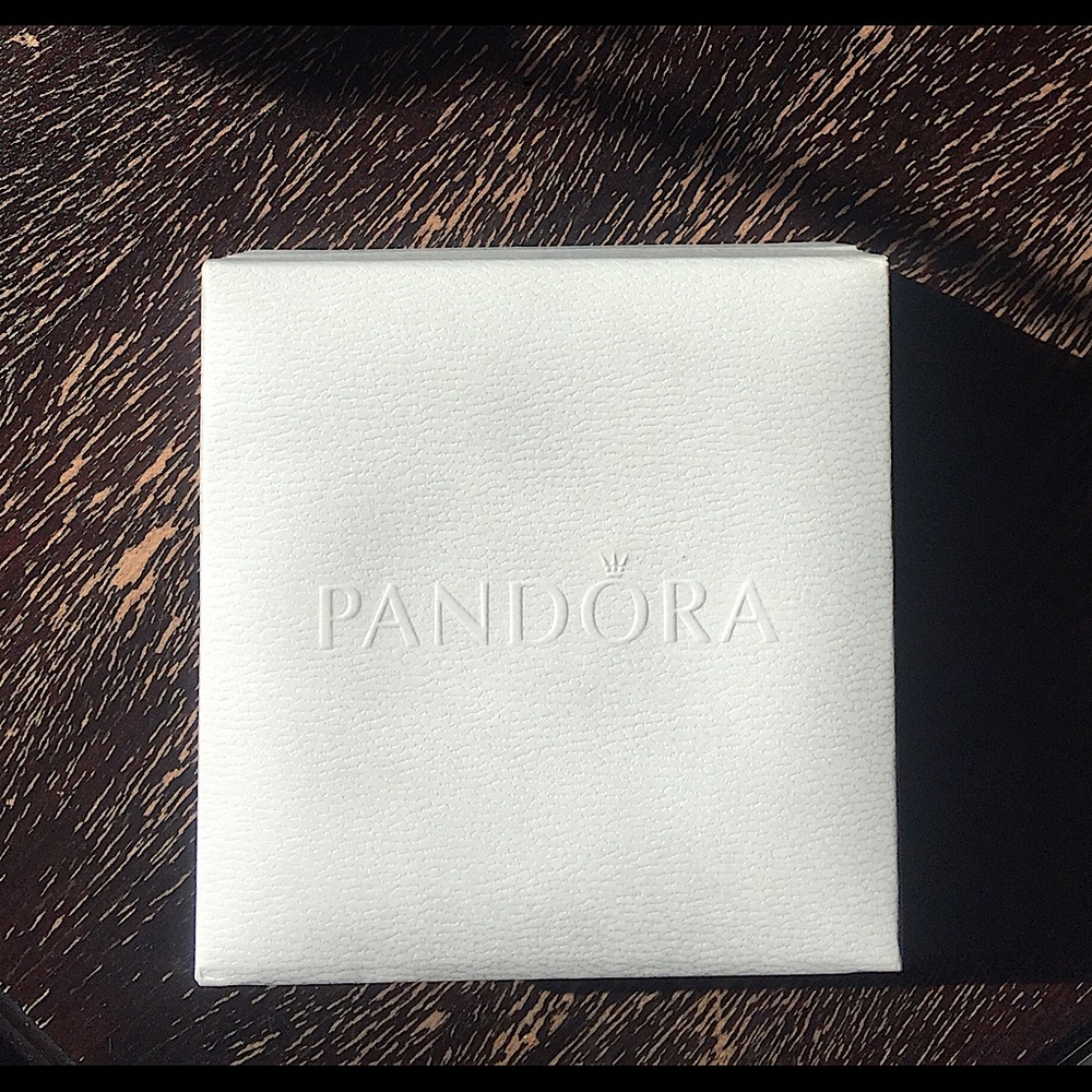 Sterling Silver Pandora Bracelet - Picture 12 of 12